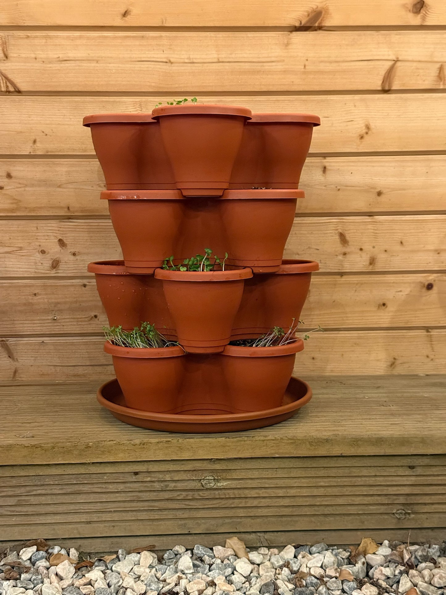 The Four by Four | All-in-One Culinary Grow Kit | Includes 16 Herb & Veg Varieties