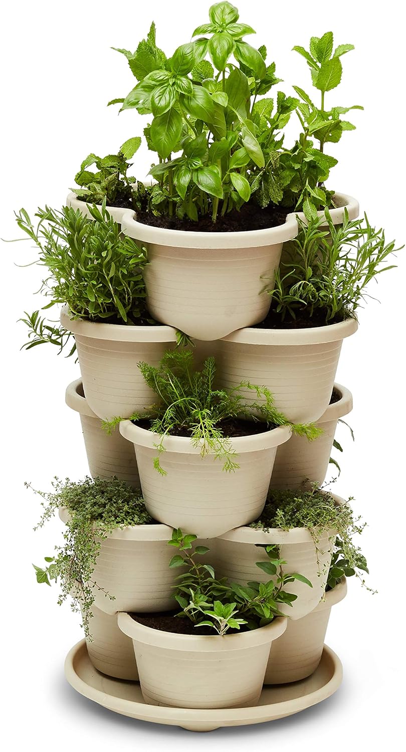 The Three by Four | All-in-One Culinary Grow Kit | Includes 12 Herb & Veg Varieties