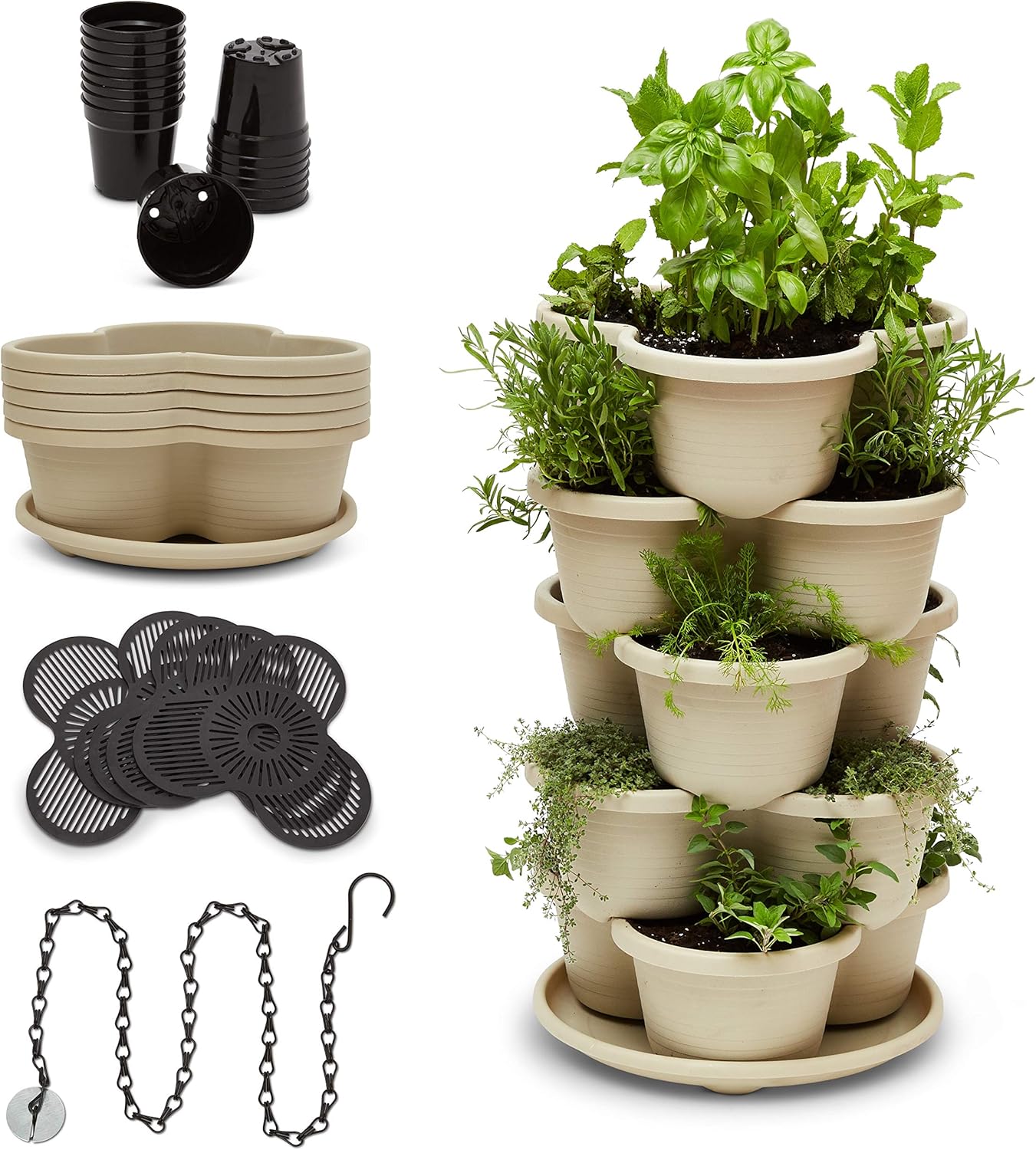 The Three by Four | All-in-One Culinary Grow Kit | Includes 12 Herb & Veg Varieties