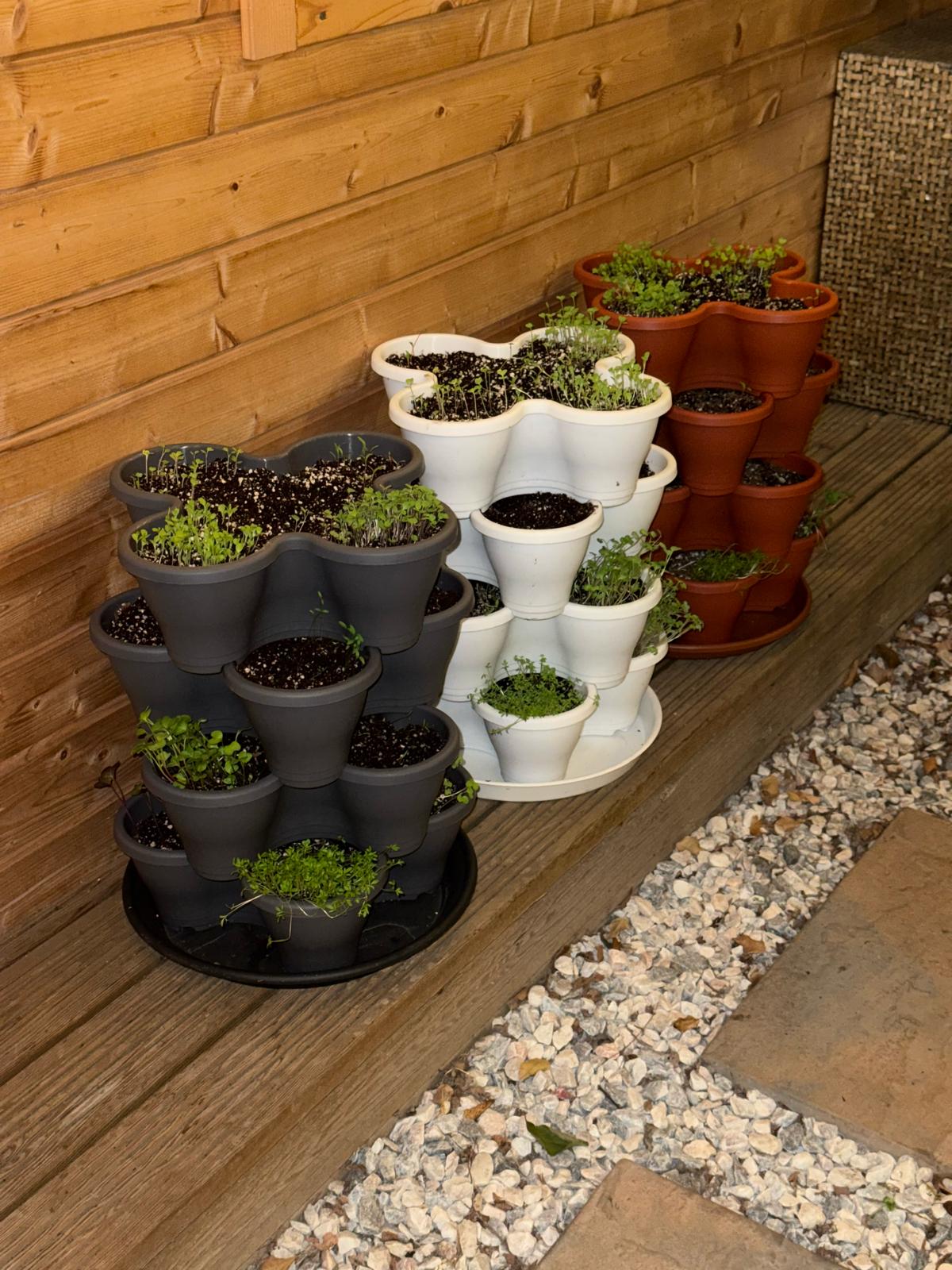 The Four by Four | All-in-One Culinary Grow Kit | Includes 16 Herb & Veg Varieties