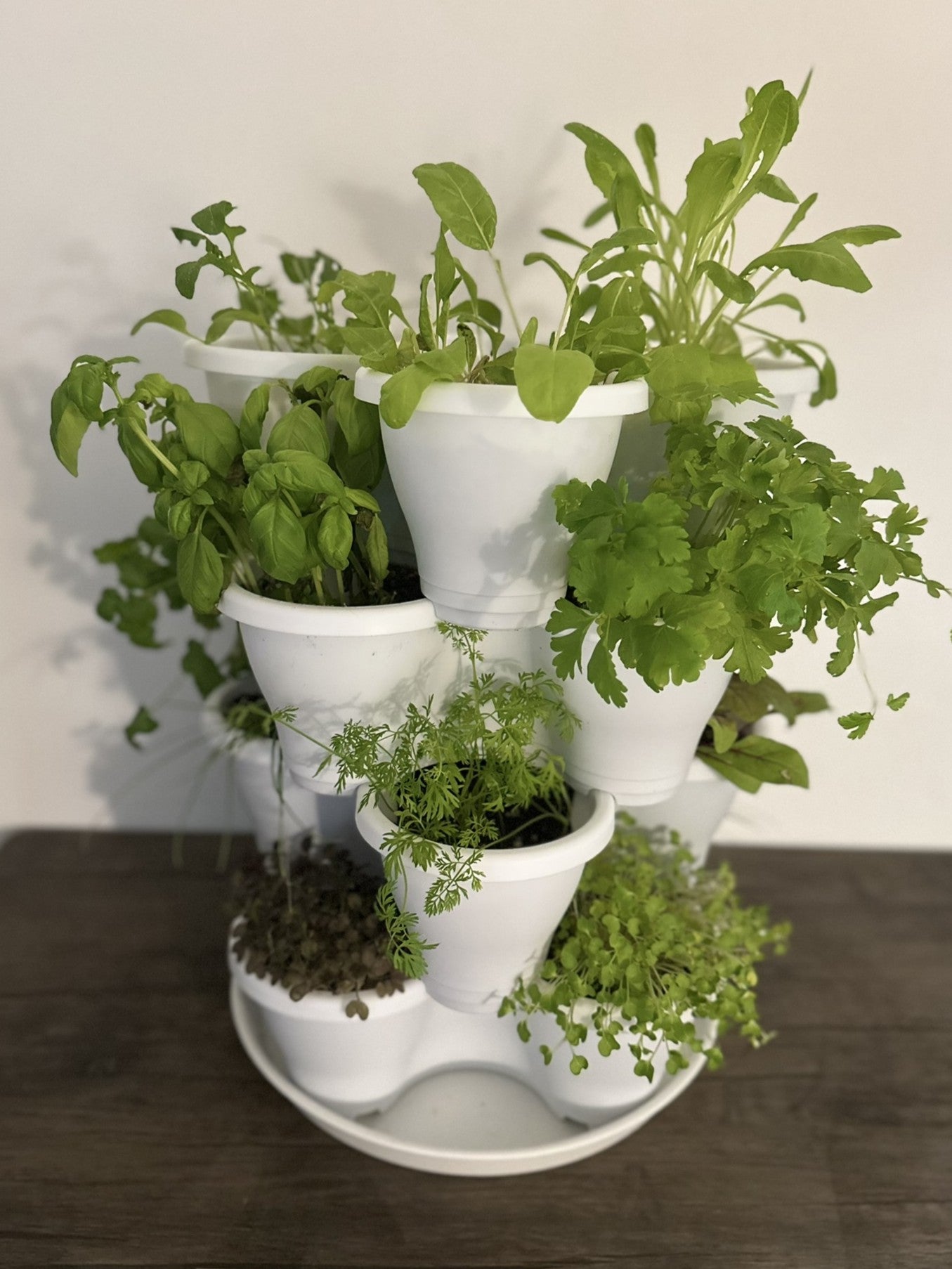 The Four by Four | All-in-One Culinary Grow Kit | Includes 16 Herb & Veg Varieties