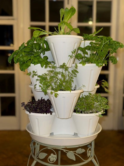The Three by Four | All-in-One Culinary Grow Kit | Includes 12 Herb & Veg Varieties