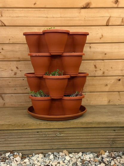 The Four by Four | All-in-One Culinary Grow Kit | Includes 16 Herb & Veg Varieties