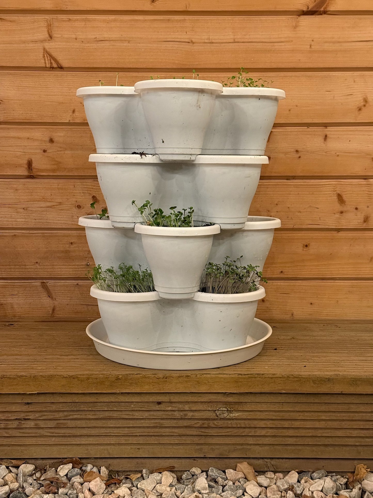 The Four by Four | All-in-One Culinary Grow Kit | Includes 16 Herb & Veg Varieties