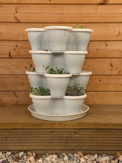 The Four by Four | All-in-One Culinary Grow Kit | Includes 16 Herb & Veg Varieties