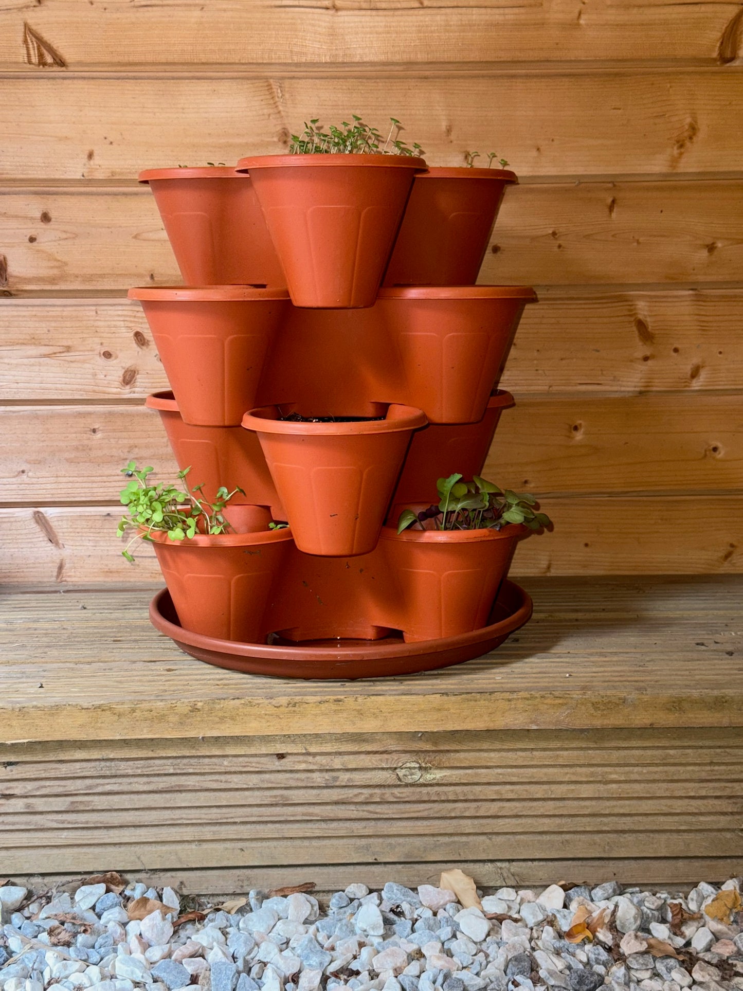 The Three by Four | All-in-One Culinary Grow Kit | Includes 12 Herb & Veg Varieties