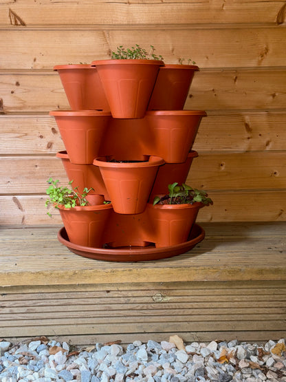 The Three by Four | All-in-One Culinary Grow Kit | Includes 12 Herb & Veg Varieties