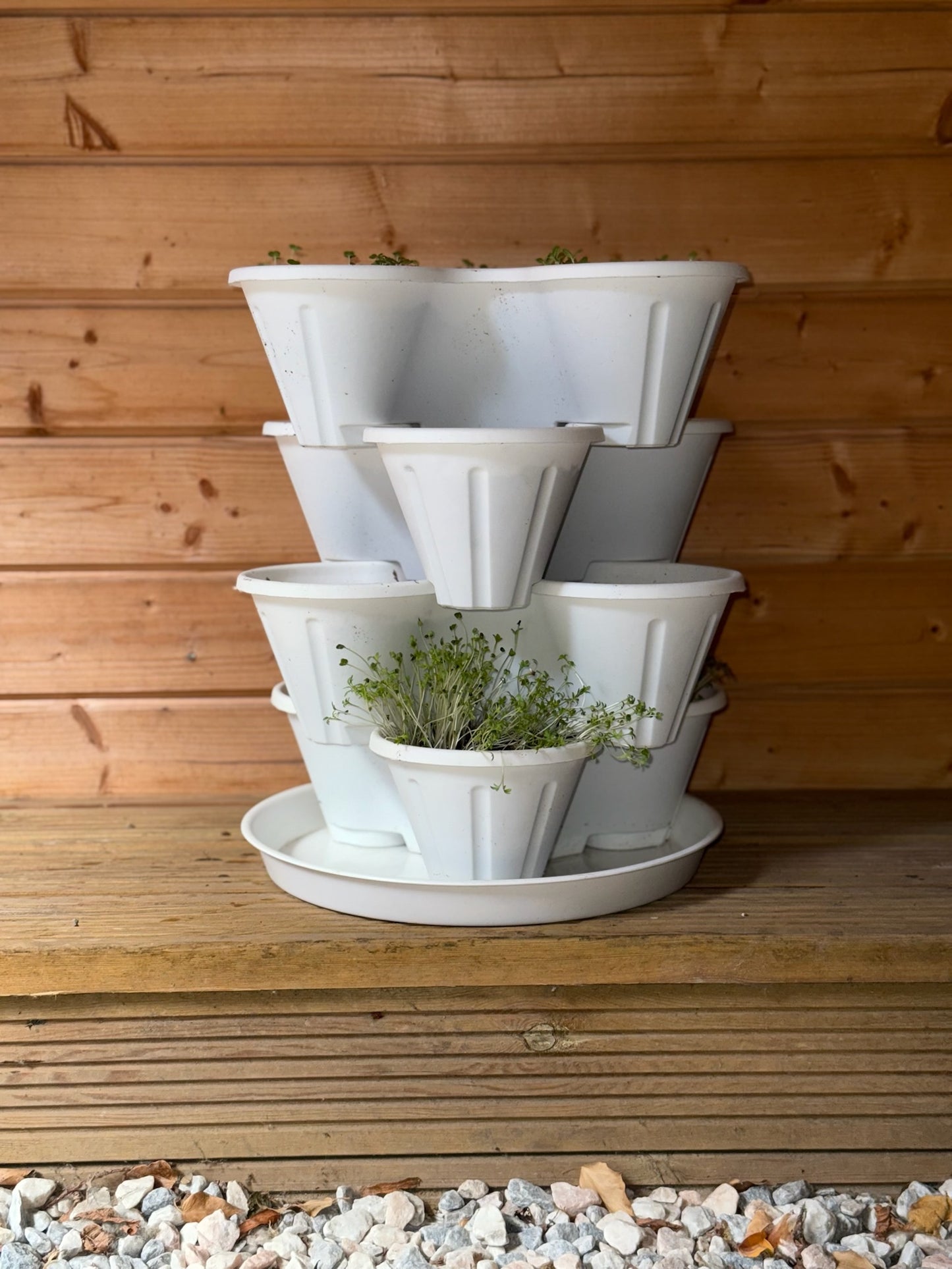 The Three by Four | All-in-One Culinary Grow Kit | Includes 12 Herb & Veg Varieties