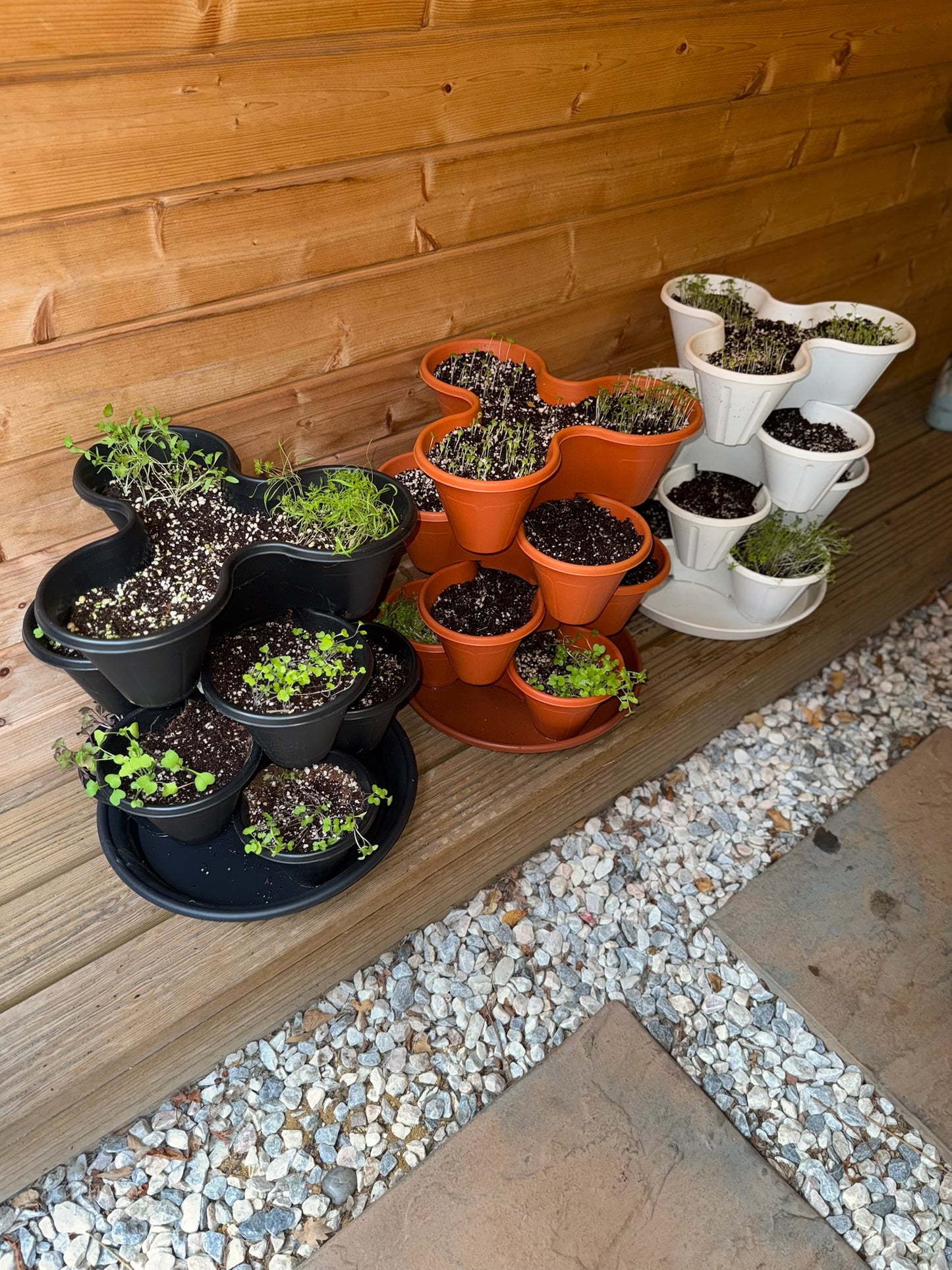 The Three by Four | All-in-One Culinary Grow Kit | Includes 12 Herb & Veg Varieties