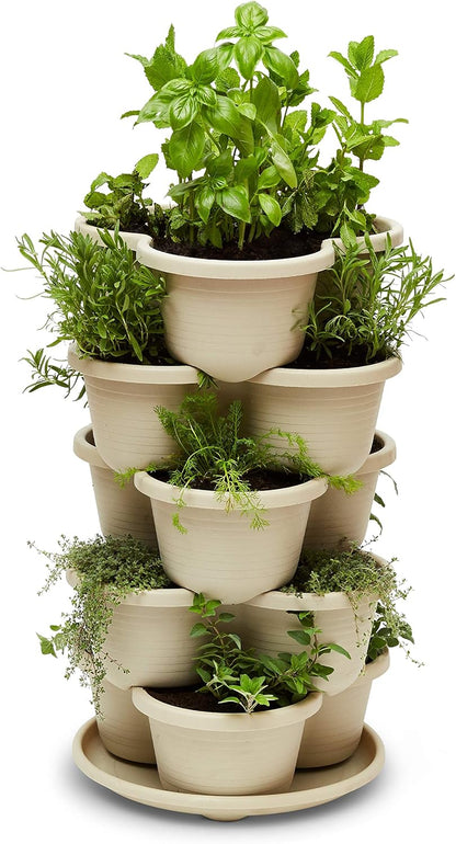 The Three by Four | All-in-One Culinary Grow Kit | Includes 12 Herb & Veg Varieties