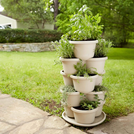 The Three by Four | All-in-One Culinary Grow Kit | Includes 12 Herb & Veg Varieties