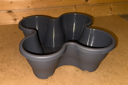 The Four by Four | All-in-One Culinary Grow Kit | Includes 16 Herb & Veg Varieties