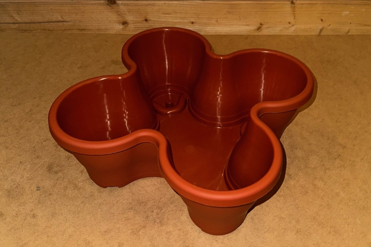The Four by Four | All-in-One Culinary Grow Kit | Includes 16 Herb & Veg Varieties