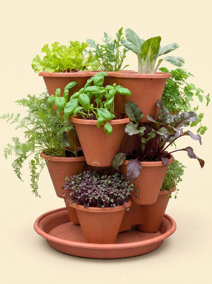 The Three by Four grow kit in terracotta, fully planted, on buttercup