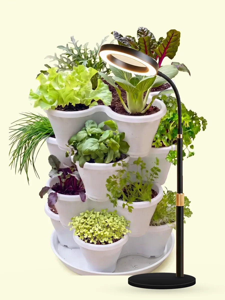 The Four by Four with the Halo Grow Lamp